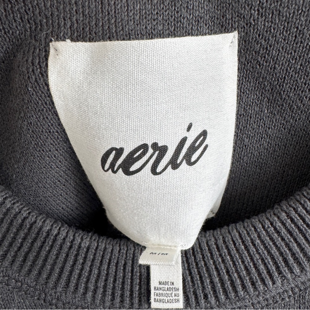 Aerie Crewneck Sweatshirt - Picture 3 of 6